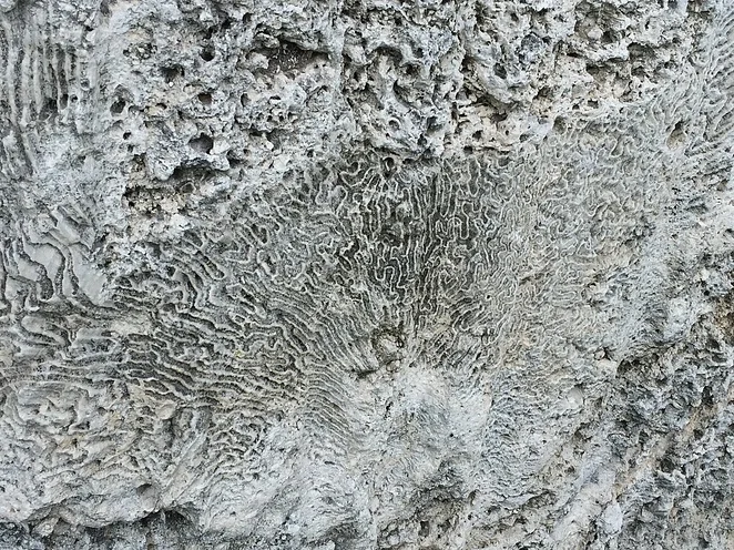 Mercan Taşı