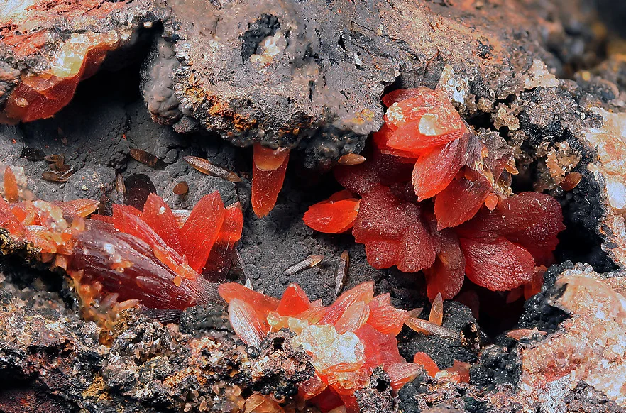 Rhodochrosite Stone