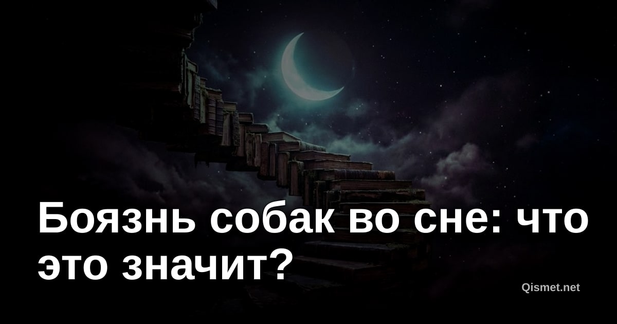 Боязнь собак во сне: что это значит?