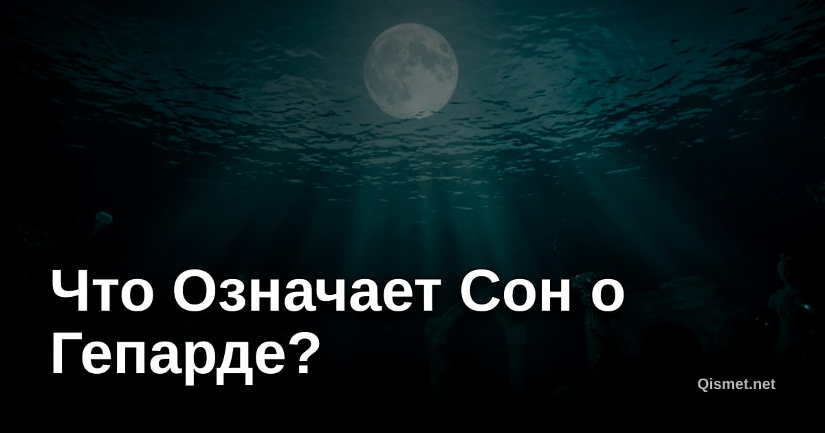 Что Означает Сон о Гепарде?
