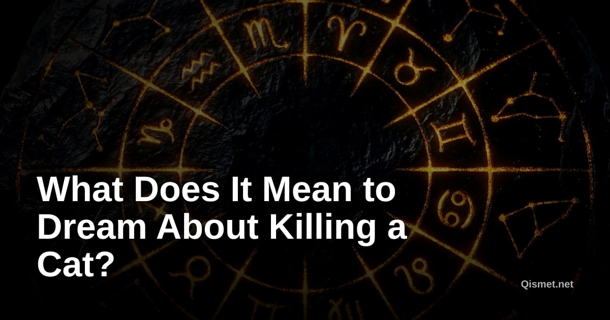 What Does It Mean to Dream About Killing a Cat?