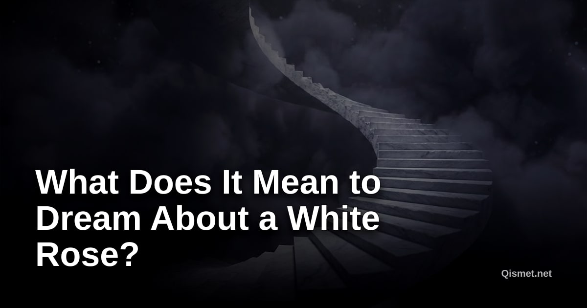 What Does It Mean to Dream About a White Rose?