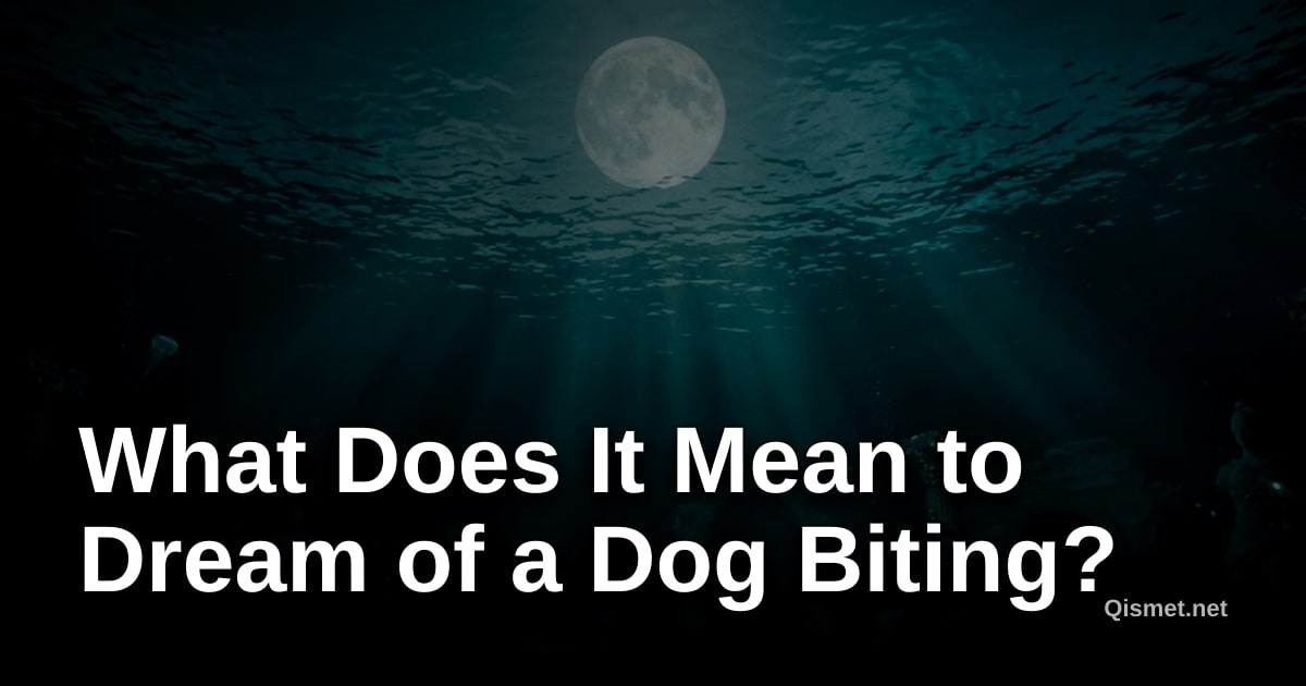 What Does It Mean to Dream of a Dog Biting?