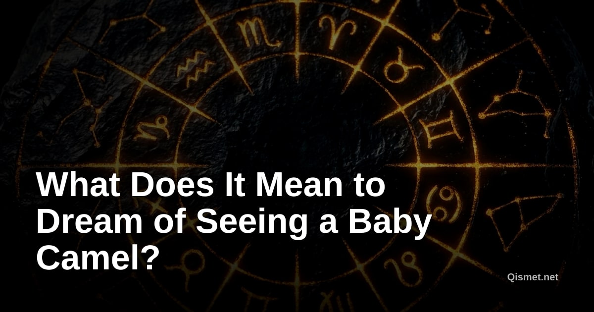 What Does It Mean to Dream of Seeing a Baby Camel?