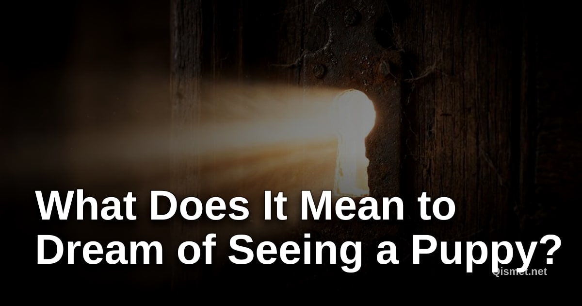 What Does It Mean to Dream of Seeing a Puppy?