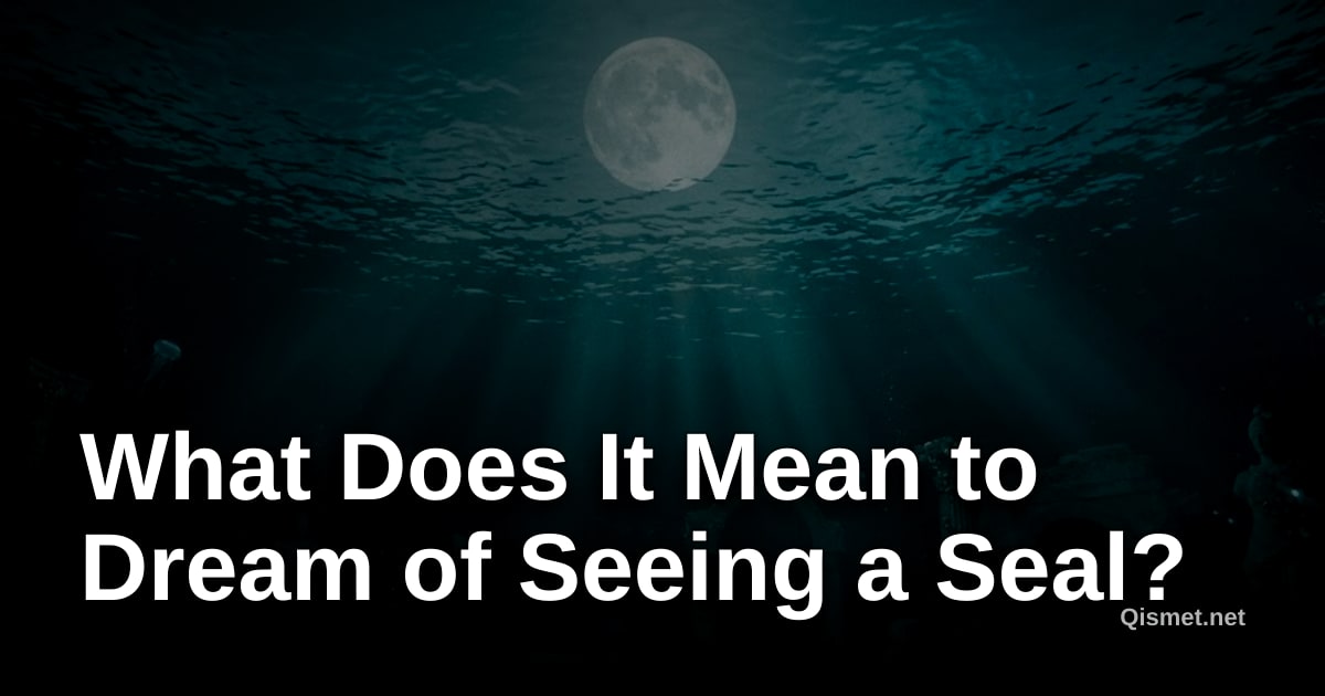 What Does It Mean to Dream of Seeing a Seal?