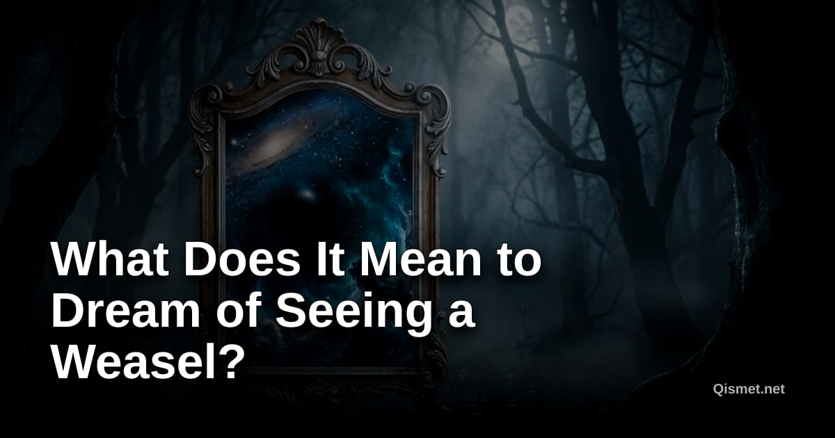 What Does It Mean to Dream of Seeing a Weasel?