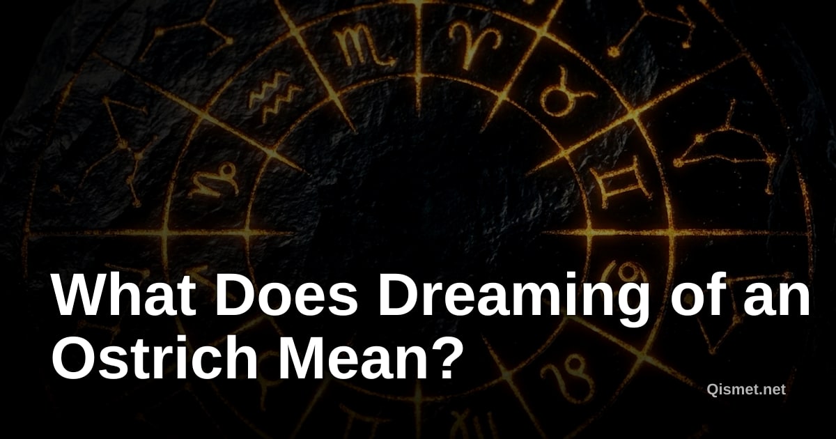 What Does Dreaming of an Ostrich Mean?