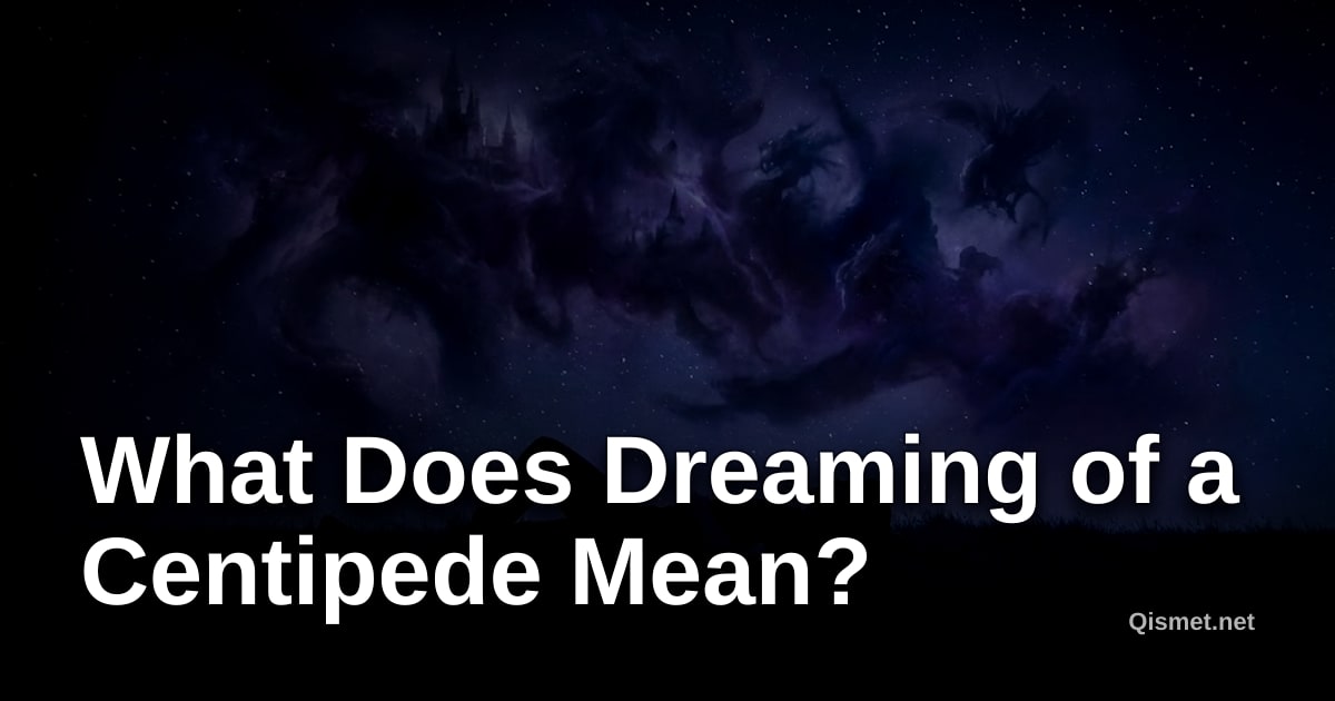 What Does Dreaming of a Centipede Mean?