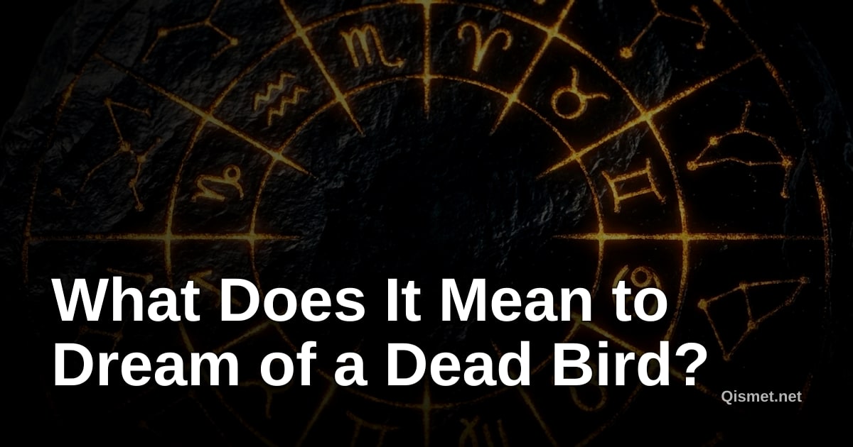 What Does It Mean to Dream of a Dead Bird?