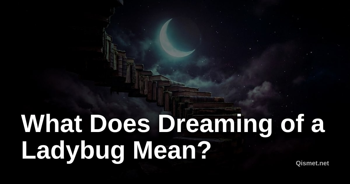 What Does Dreaming of a Ladybug Mean?