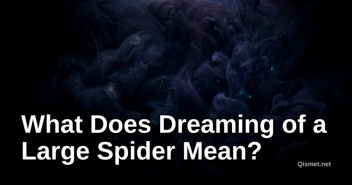 What Does Dreaming of a Large Spider Mean?