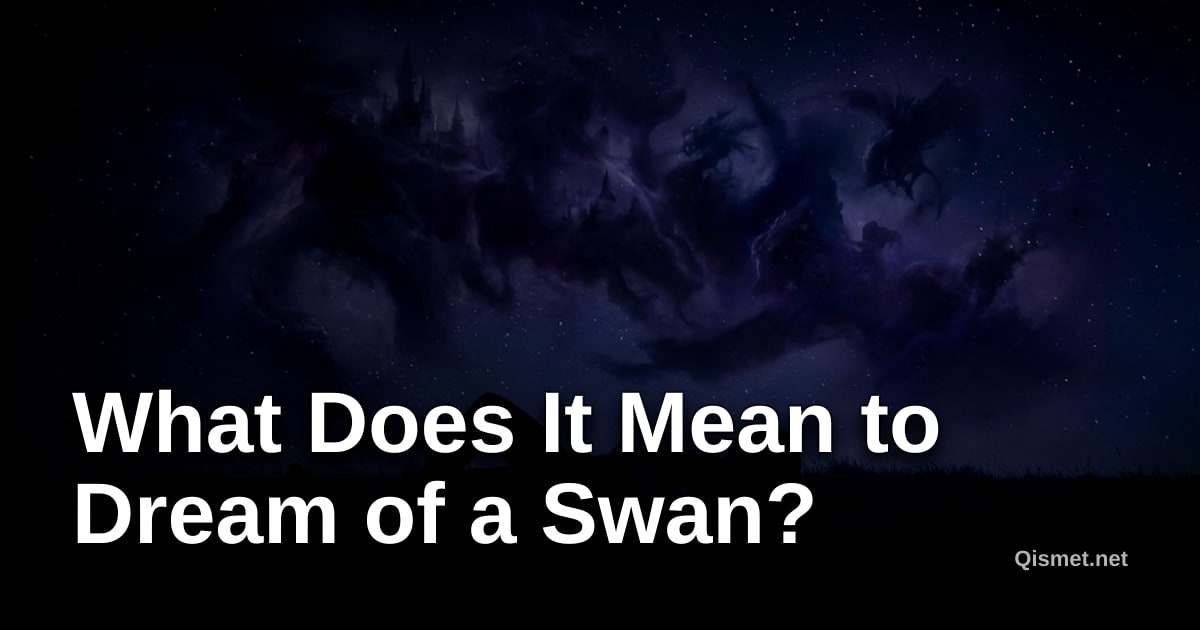 What Does It Mean to Dream of a Swan?