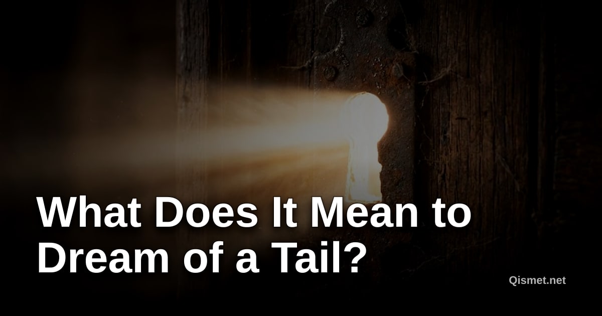 What Does It Mean to Dream of a Tail?