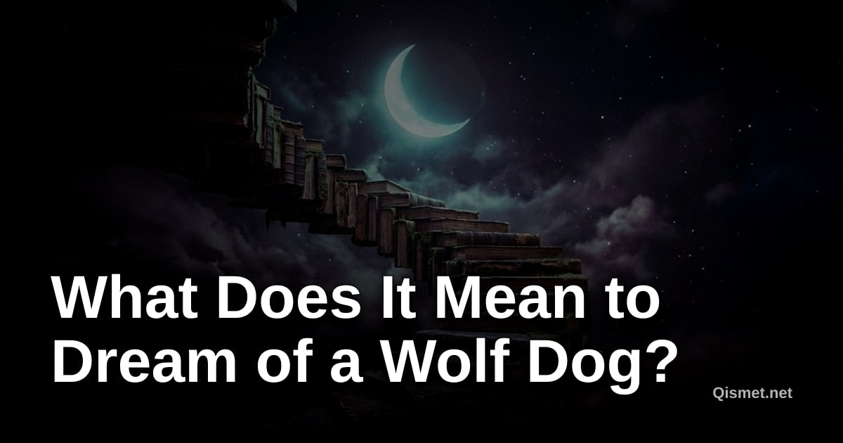 What Does It Mean to Dream of a Wolf Dog?