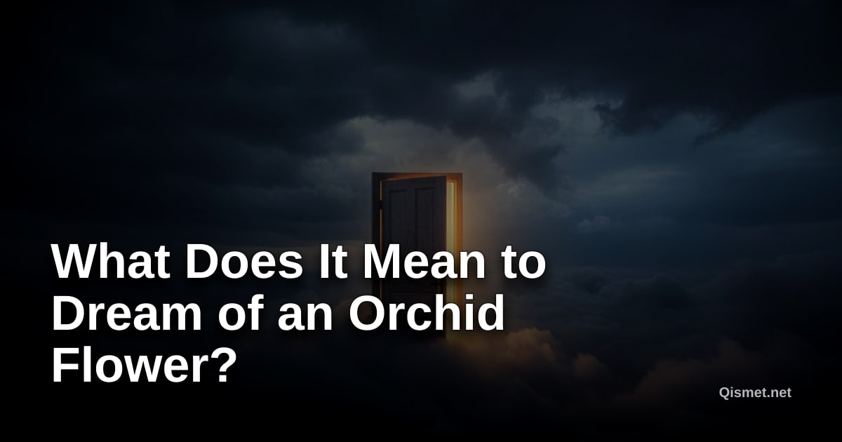 What Does It Mean to Dream of an Orchid Flower?