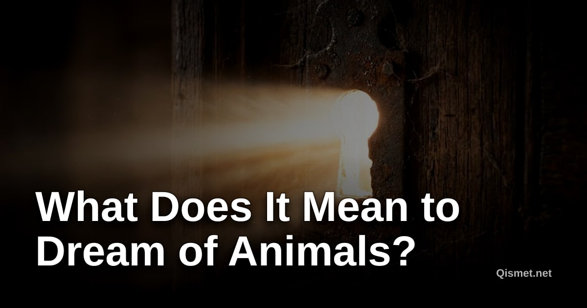 What Does It Mean to Dream of Animals?