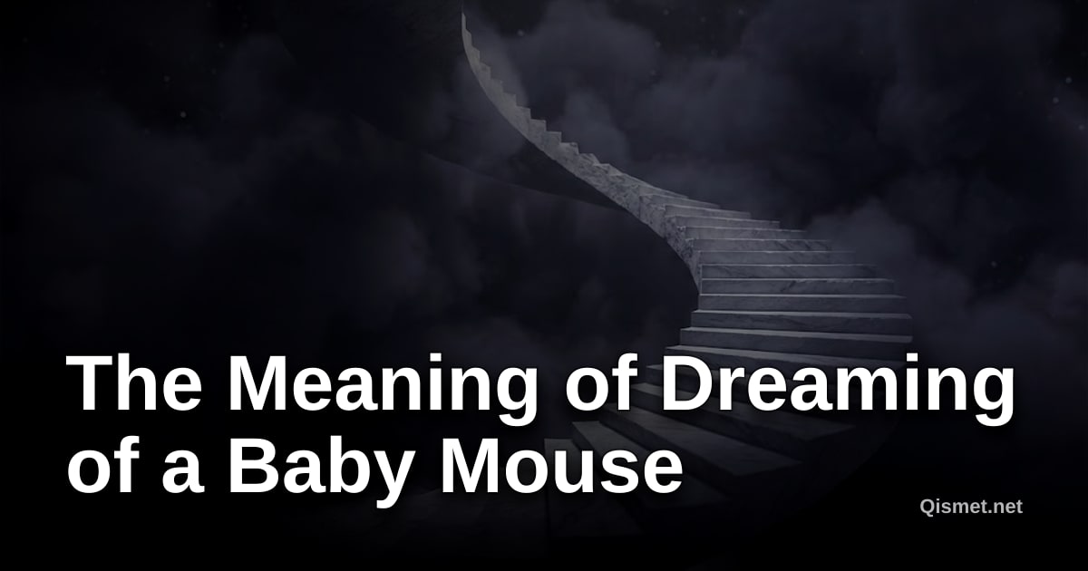 The Meaning of Dreaming of a Baby Mouse