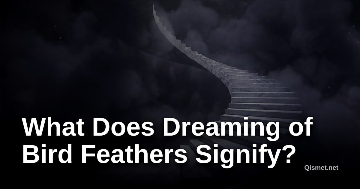 What Does Dreaming of Bird Feathers Signify?
