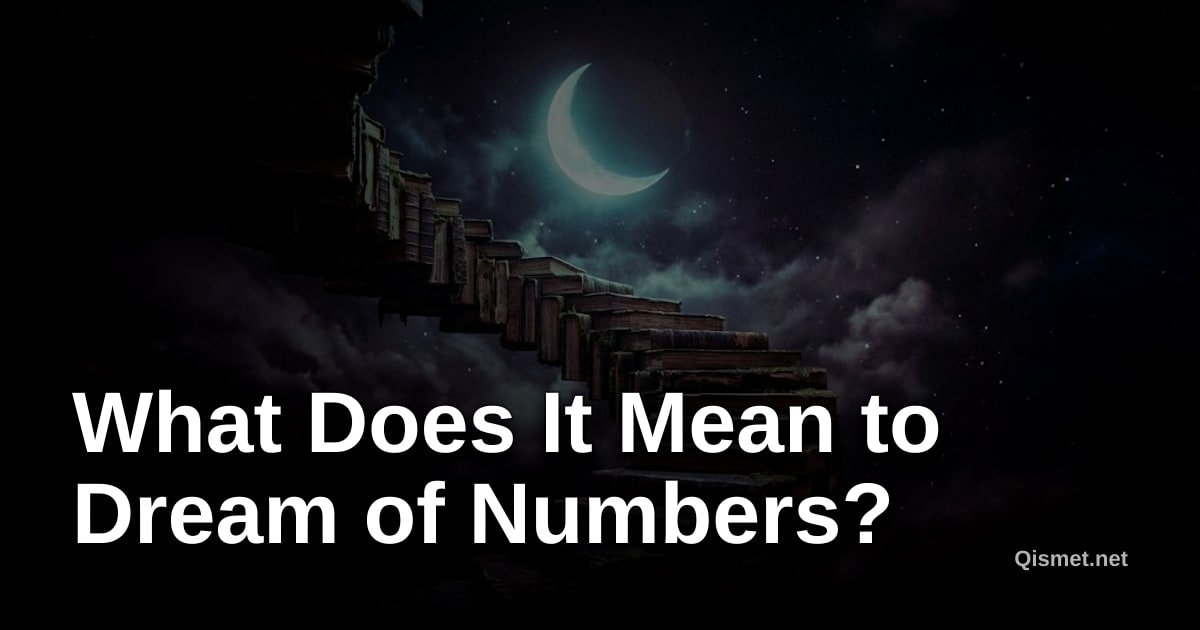 What Does It Mean to Dream of Numbers?