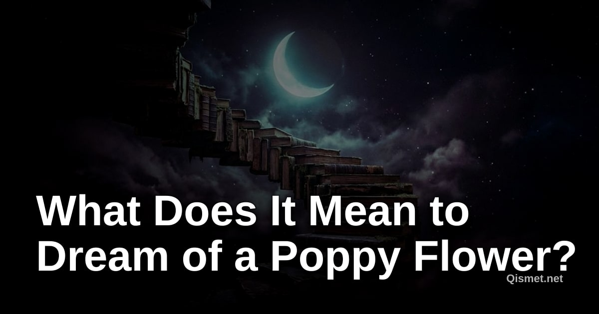 What Does It Mean to Dream of a Poppy Flower?