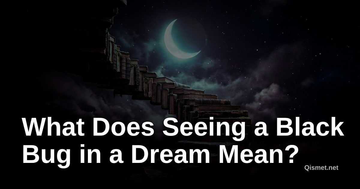 What Does Seeing a Black Bug in a Dream Mean?