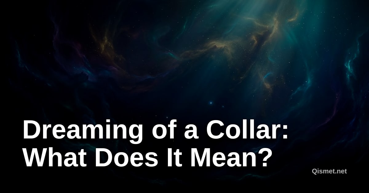 Dreaming of a Collar: What Does It Mean?