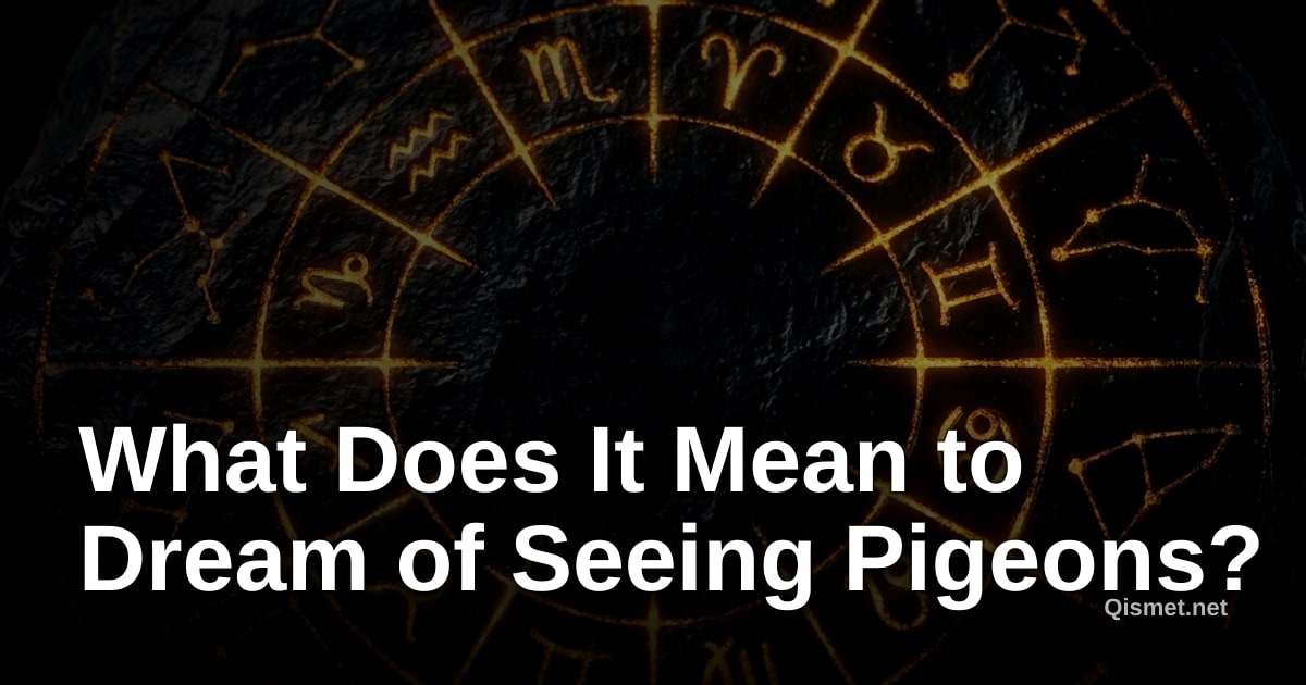 What Does It Mean to Dream of Seeing Pigeons?