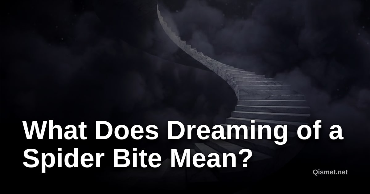 What Does Dreaming of a Spider Bite Mean?