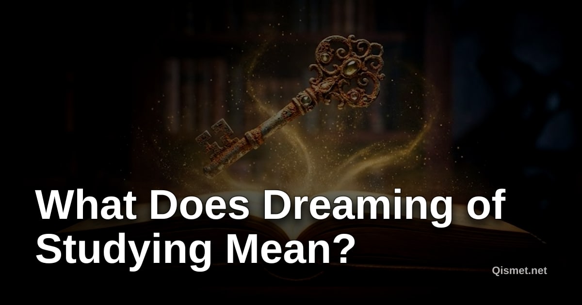What Does Dreaming of Studying Mean?