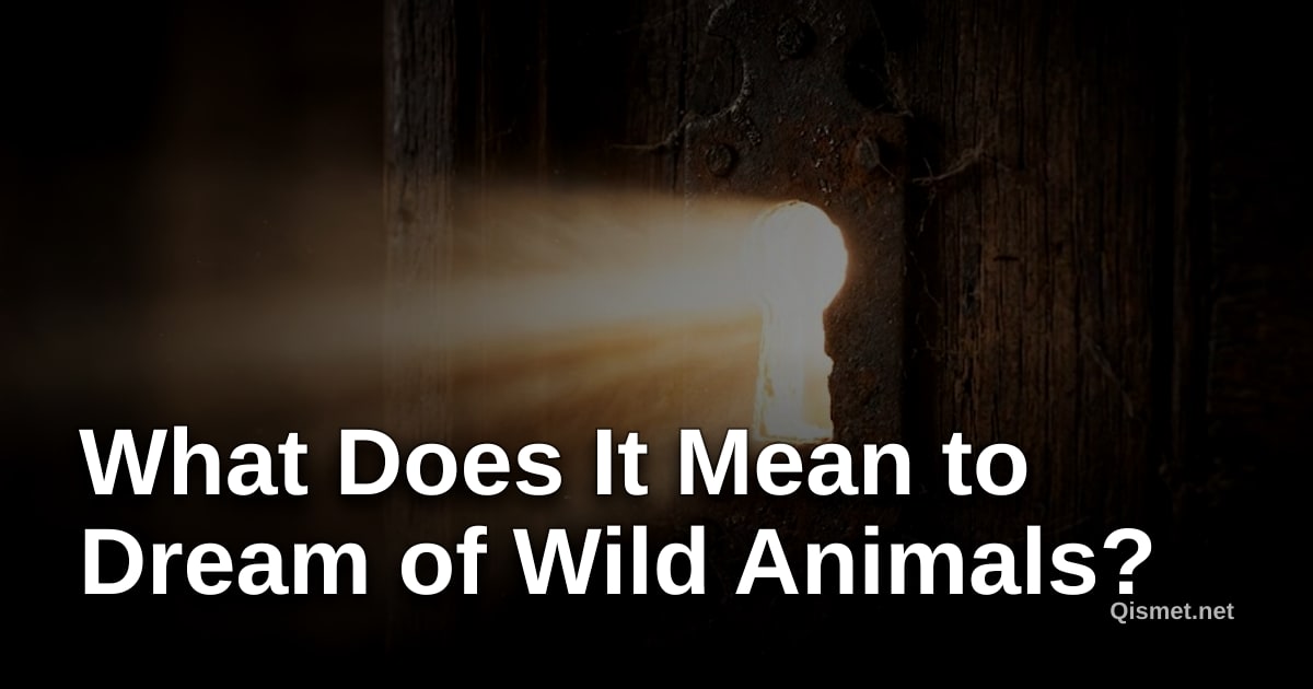 What Does It Mean to Dream of Wild Animals?