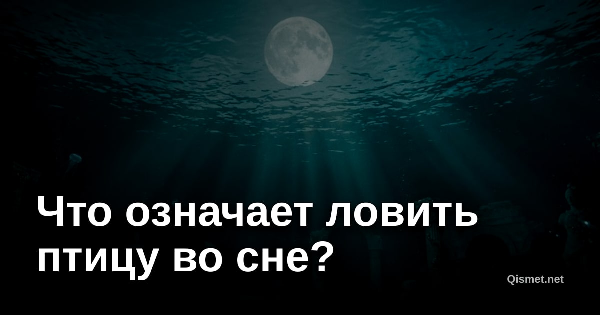 Что означает ловить птицу во сне?