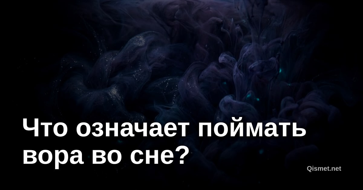 Что означает поймать вора во сне?