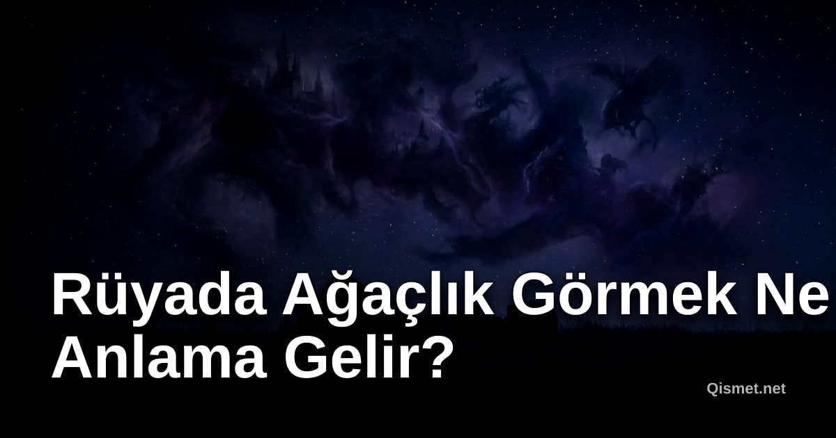 Rüyada Ağaçlık Görmek Ne Anlama Gelir?