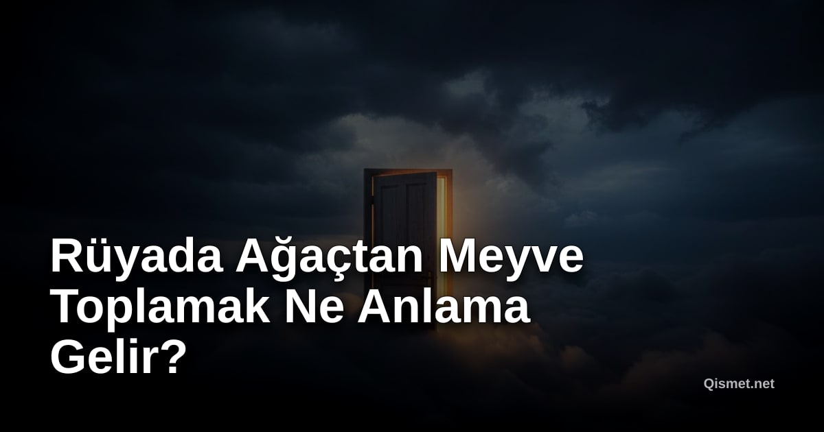 Rüyada Ağaçtan Meyve Toplamak Ne Anlama Gelir?