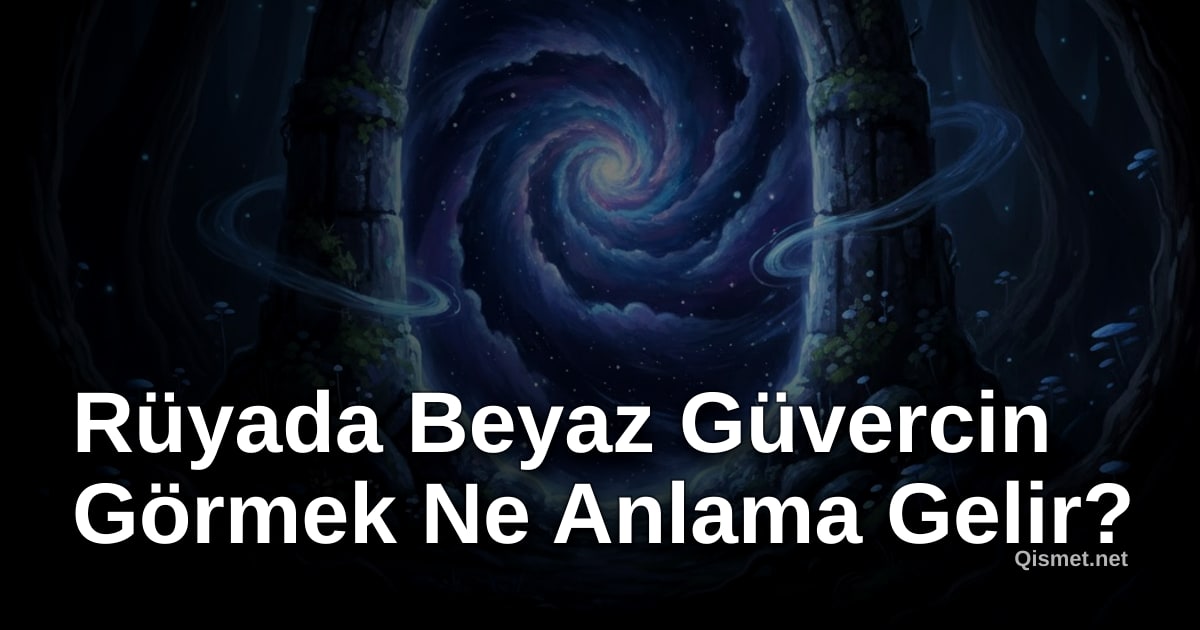 Rüyada Beyaz Güvercin Görmek Ne Anlama Gelir?