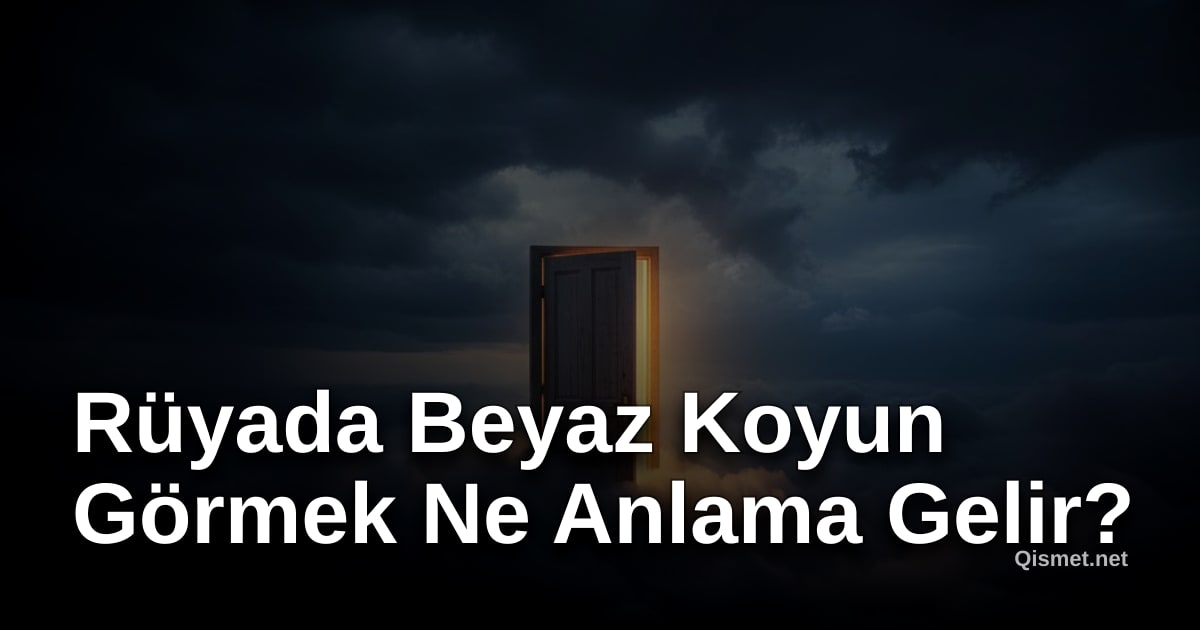 Rüyada Beyaz Koyun Görmek Ne Anlama Gelir?