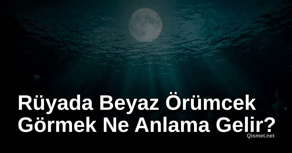 Rüyada Beyaz Örümcek Görmek Ne Anlama Gelir?