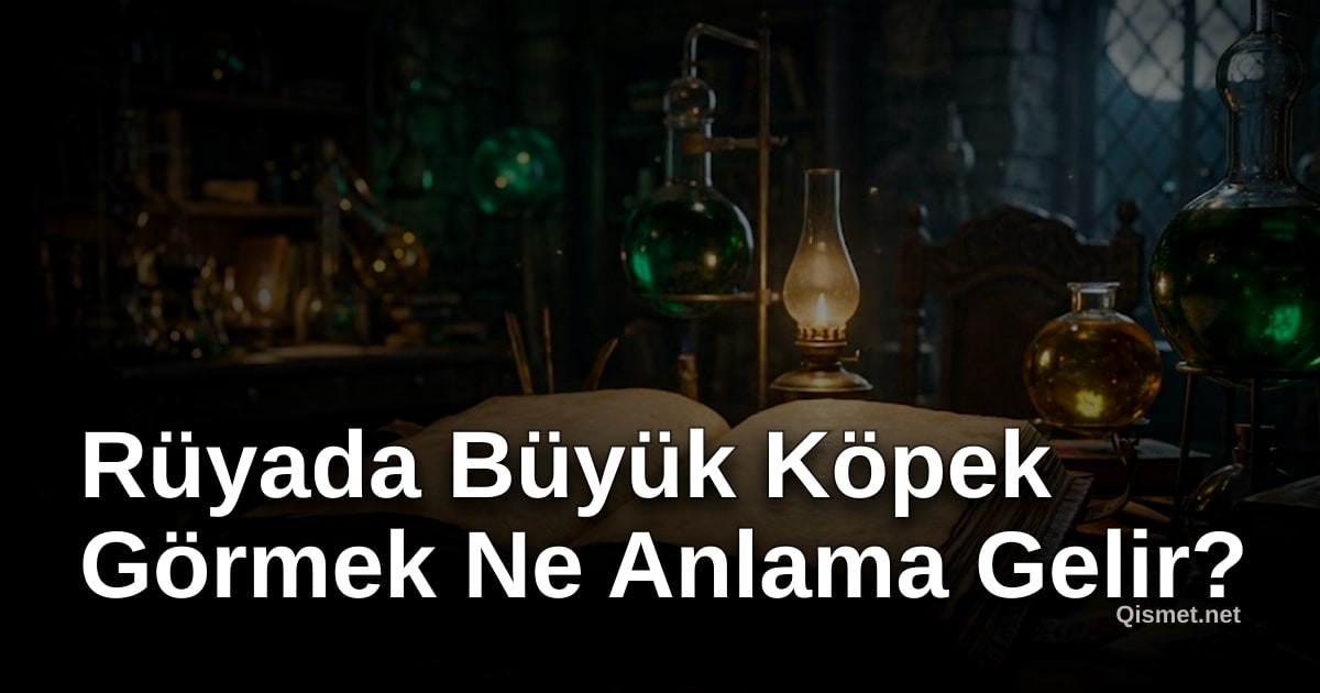 Rüyada Büyük Köpek Görmek Ne Anlama Gelir?