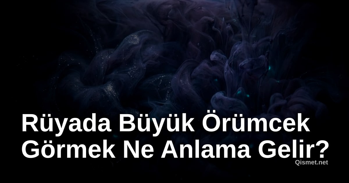 Rüyada Büyük Örümcek Görmek Ne Anlama Gelir?