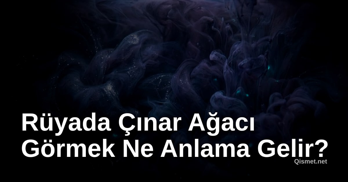 Rüyada Çınar Ağacı Görmek Ne Anlama Gelir?