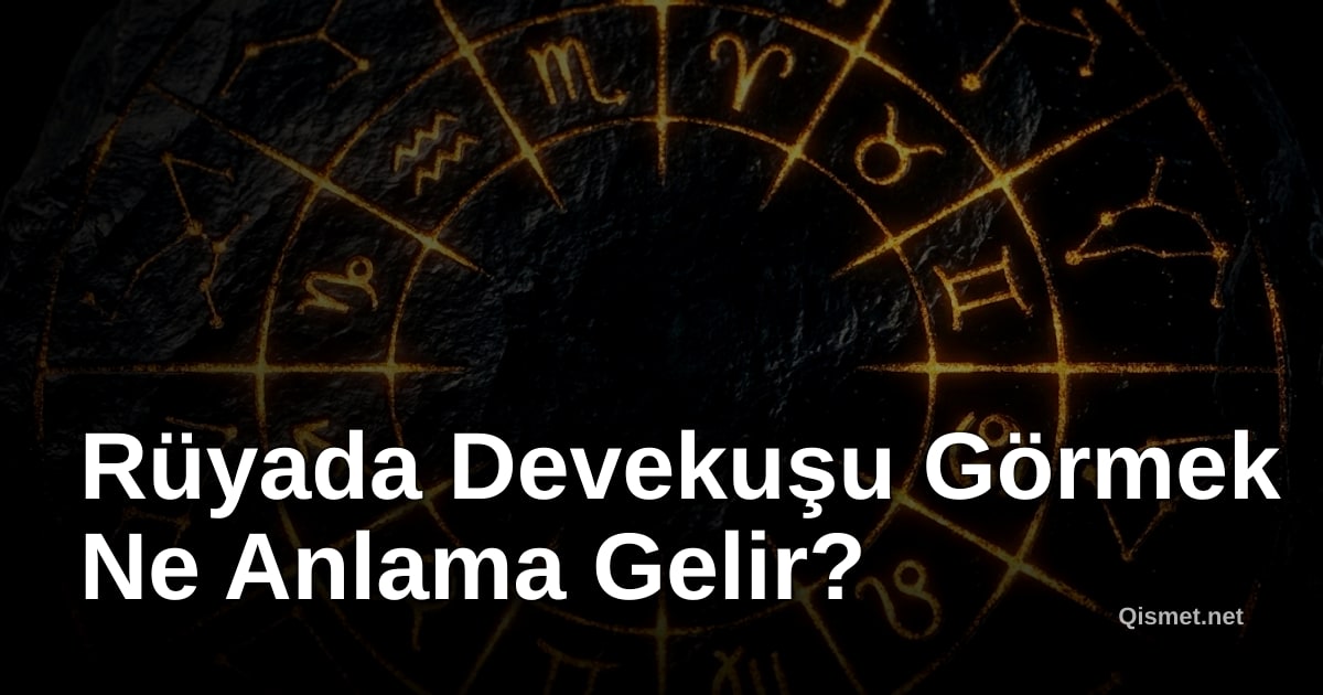 Rüyada Devekuşu Görmek Ne Anlama Gelir?