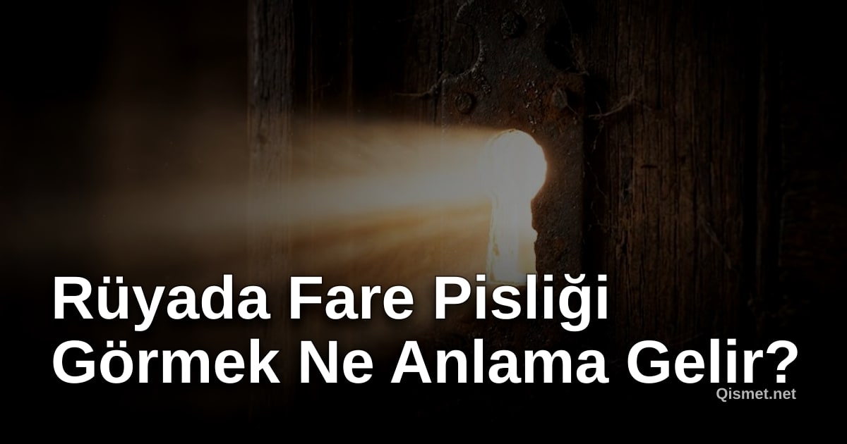 Rüyada Fare Pisliği Görmek Ne Anlama Gelir?