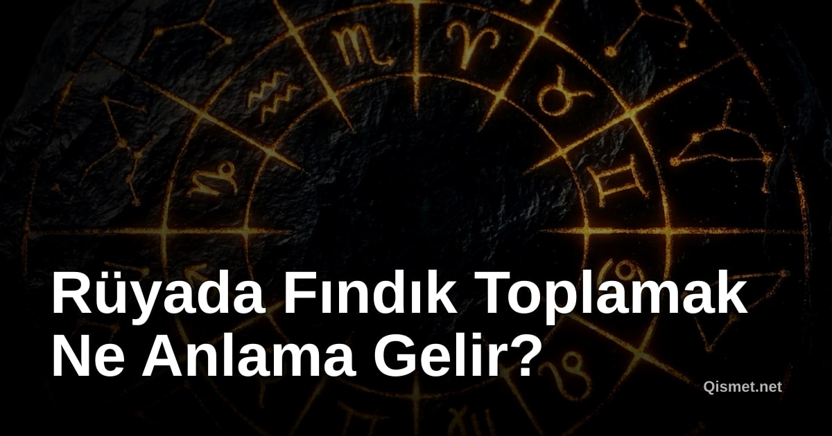 Rüyada Fındık Toplamak Ne Anlama Gelir?