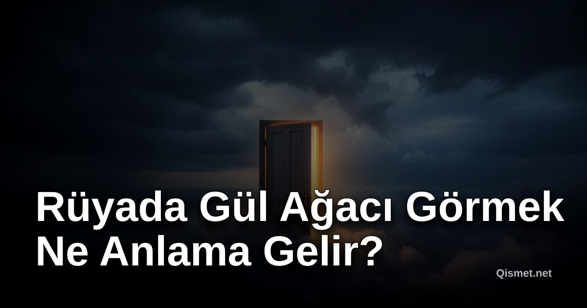 Rüyada Gül Ağacı Görmek Ne Anlama Gelir?