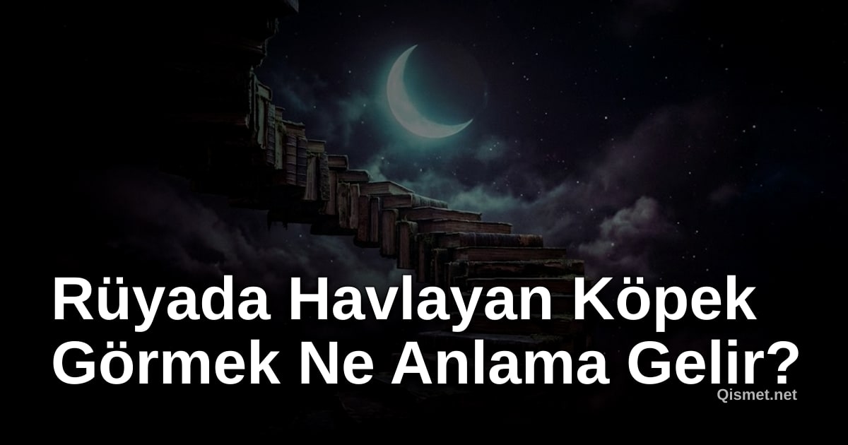 Rüyada Havlayan Köpek Görmek Ne Anlama Gelir?