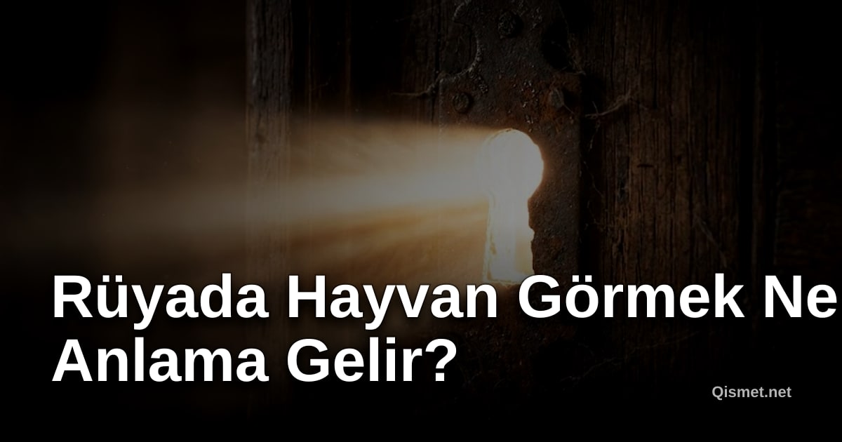 Rüyada Hayvan Görmek Ne Anlama Gelir?