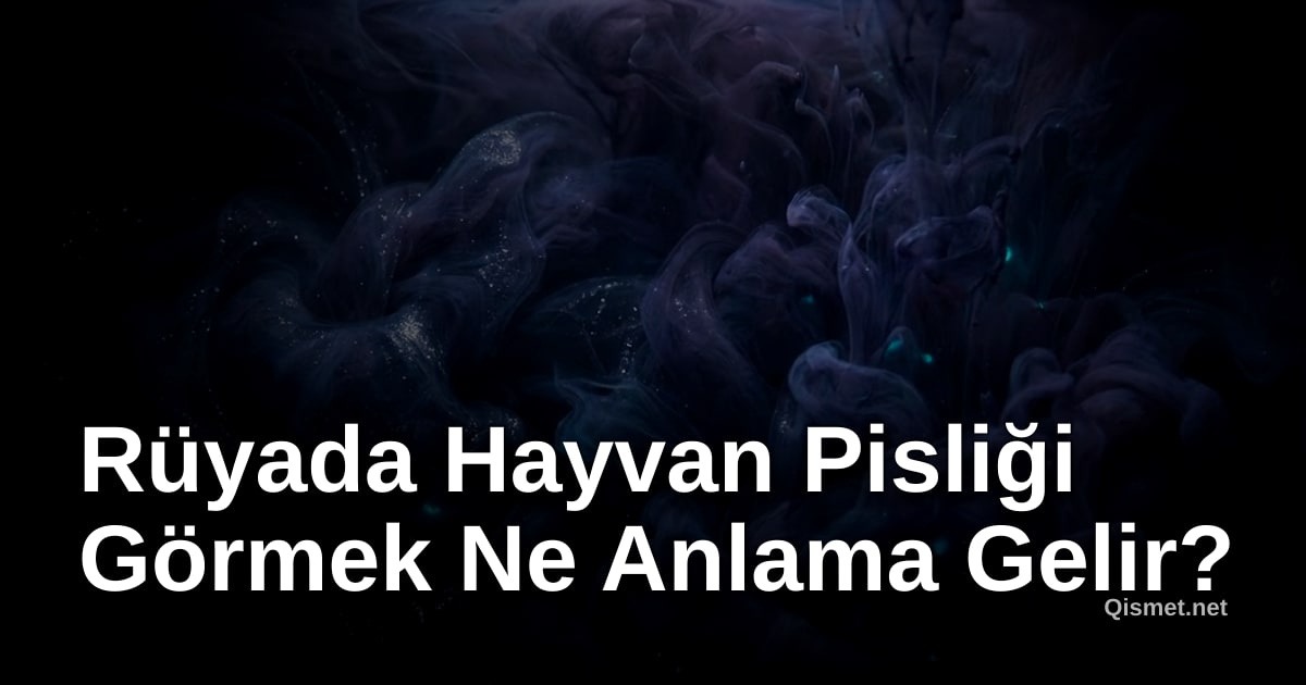 Rüyada Hayvan Pisliği Görmek Ne Anlama Gelir?