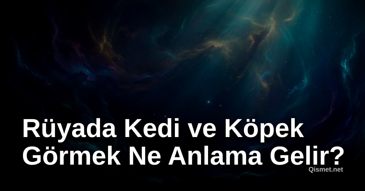Rüyada Kedi ve Köpek Görmek Ne Anlama Gelir?