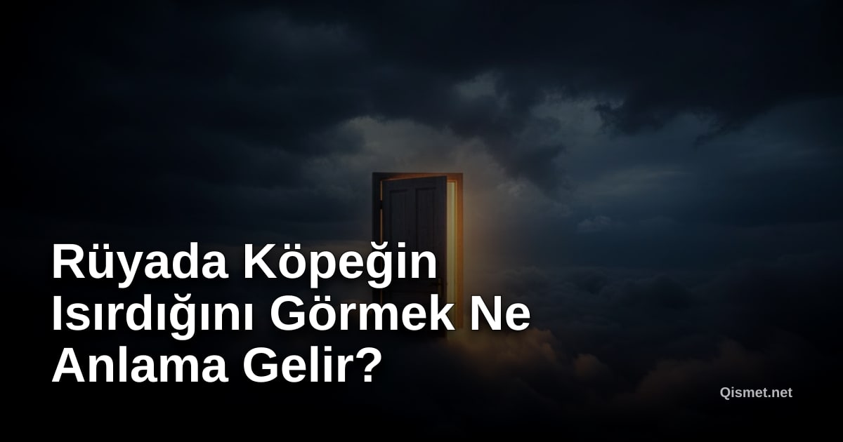 Rüyada Köpeğin Isırdığını Görmek Ne Anlama Gelir?